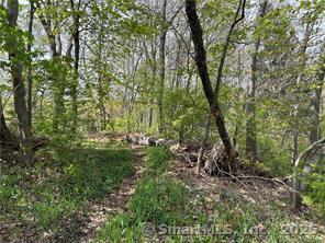 Saugus Avenue Watertown, CT 06779 - Photo 3 of 3