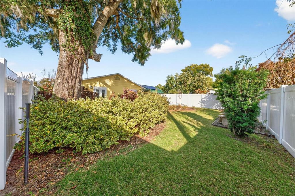 1024 Timor Avenue Orlando, FL 32804 - Photo 43 of 51 a view of a garden
