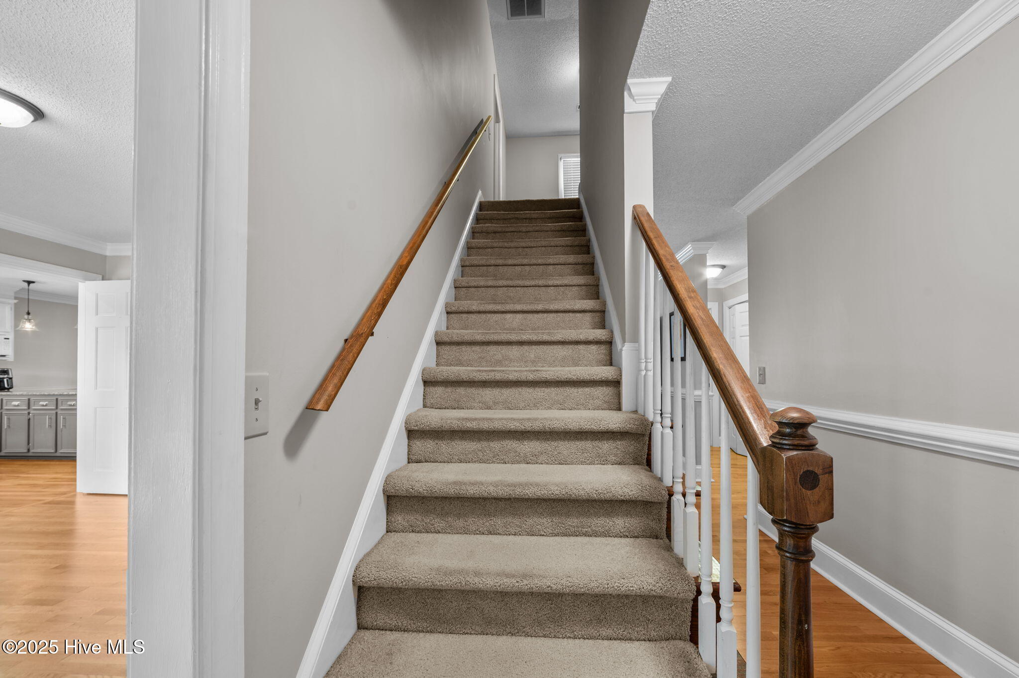 4695 Old Tar Road Winterville, NC 28590 - Photo 39 of 53 39-web-or-mls-LHV_0694