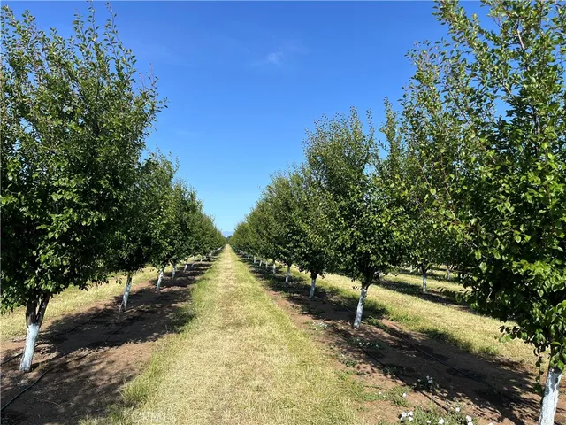 a view of a yard with wooden fence