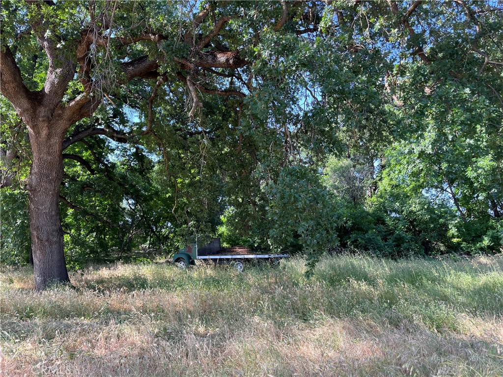 0 Volcano Way Red Bluff, CA 96080 - Photo 11 of 17 a view of a forest