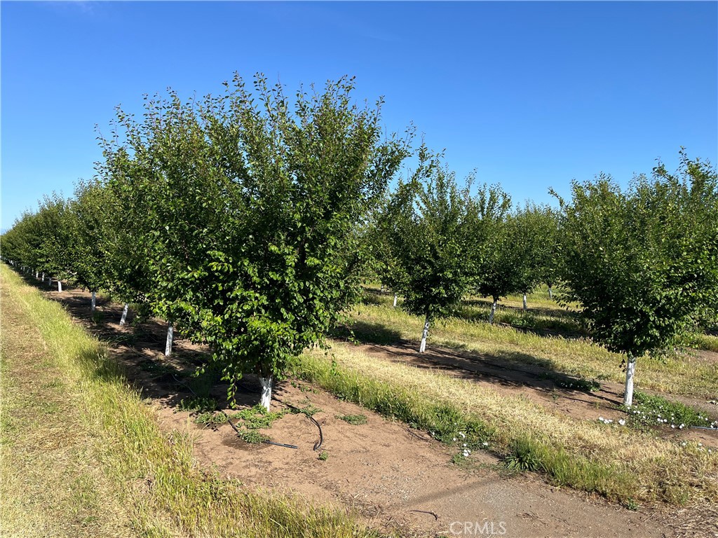 0 Volcano Way Red Bluff, CA 96080 - Photo 16 of 17 a view of a yard with wooden fence