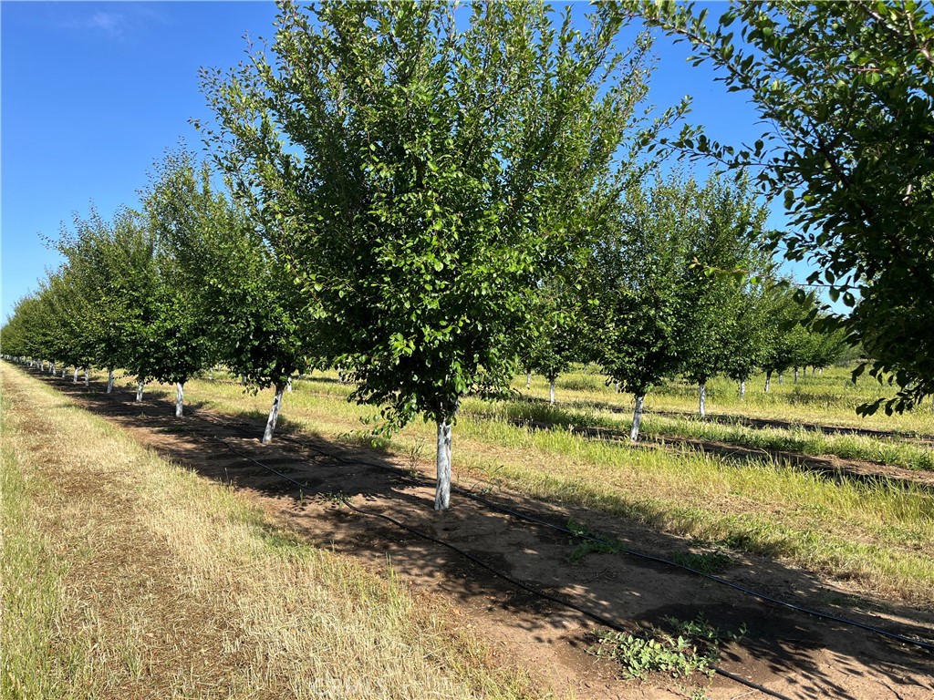0 Volcano Way Red Bluff, CA 96080 - Photo 2 of 17 a view of a yard with swimming pool