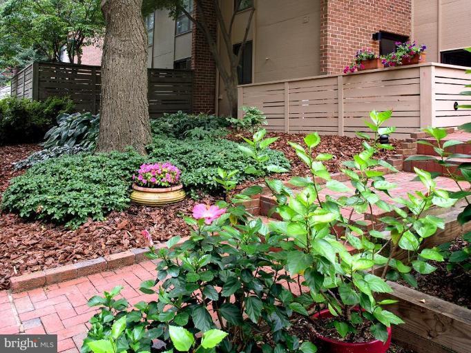 11716 Indian Ridge Road Reston, VA 20191 - Photo 2 of 28 Exterior #2