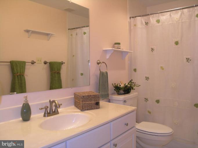 11716 Indian Ridge Road Reston, VA 20191 - Photo 14 of 28 Master Bath