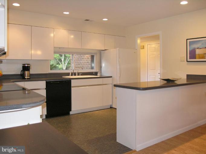 11716 Indian Ridge Road Reston, VA 20191 - Photo 5 of 28 ultra sleek modern kitchen..
