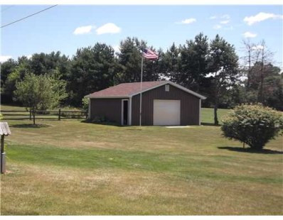 4455 Shepper Road Stockbridge, MI 49285 - Photo 6 of 10 Photo 6