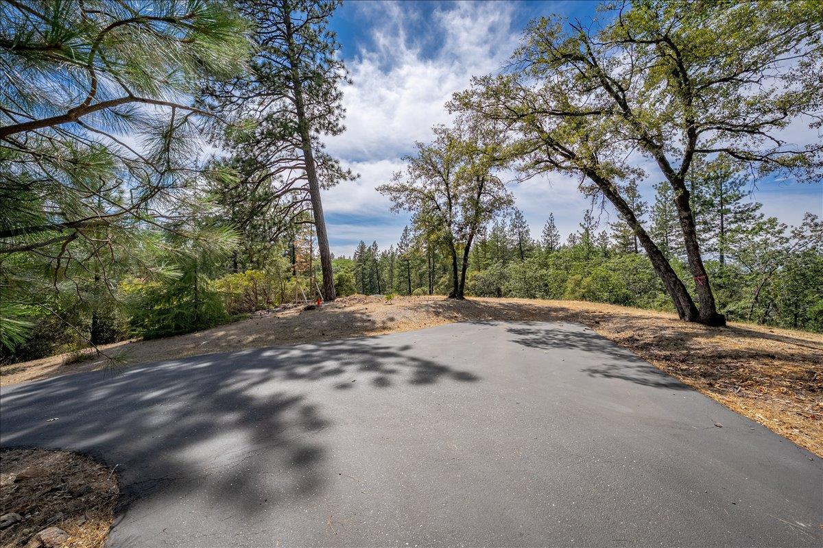 22600 Plumtree Road Colfax, CA 95713 - Photo 8 of 37