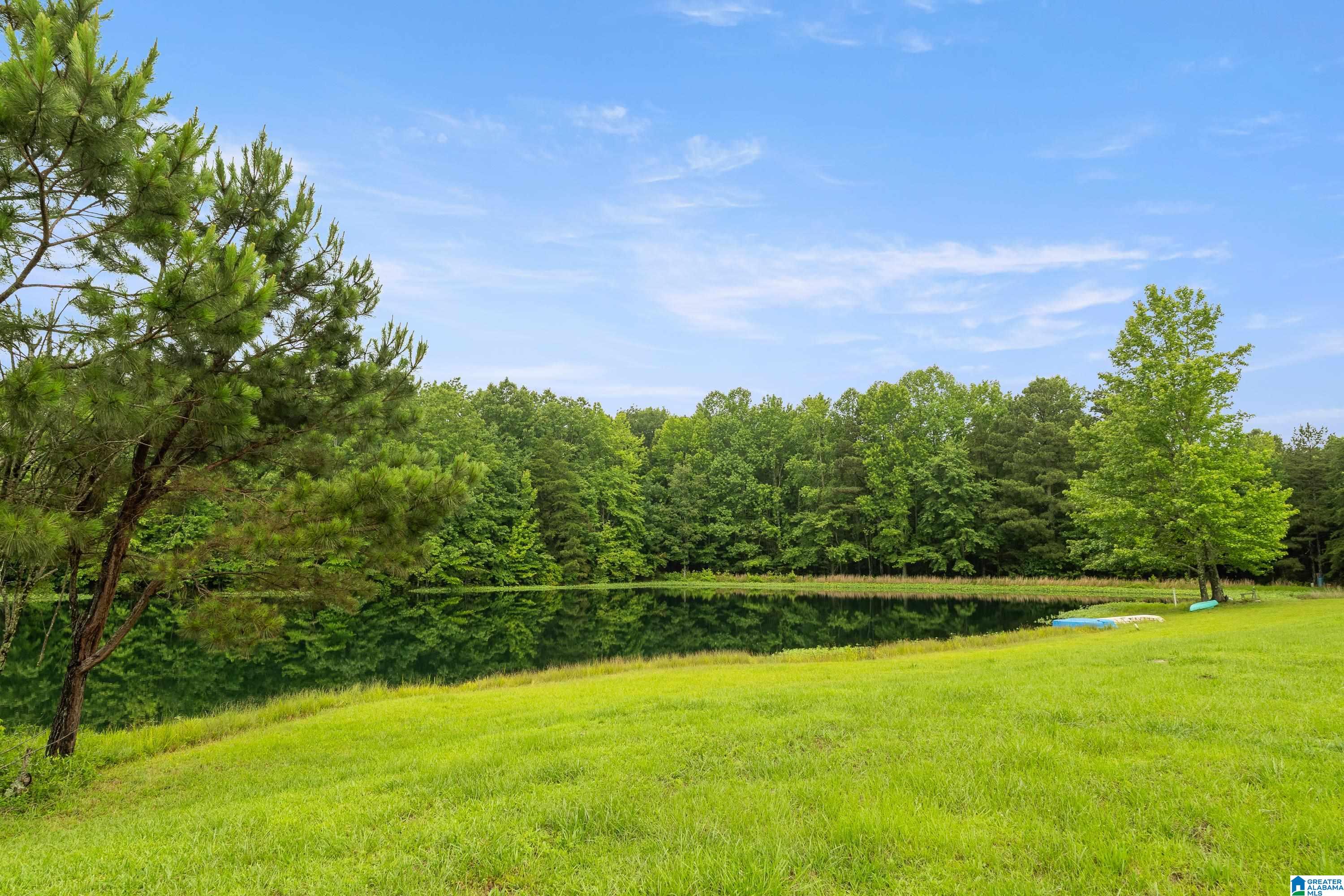1484 Jones Chapel Loop, Unit 1484 Springville, AL 35146 - Photo 16 of 27