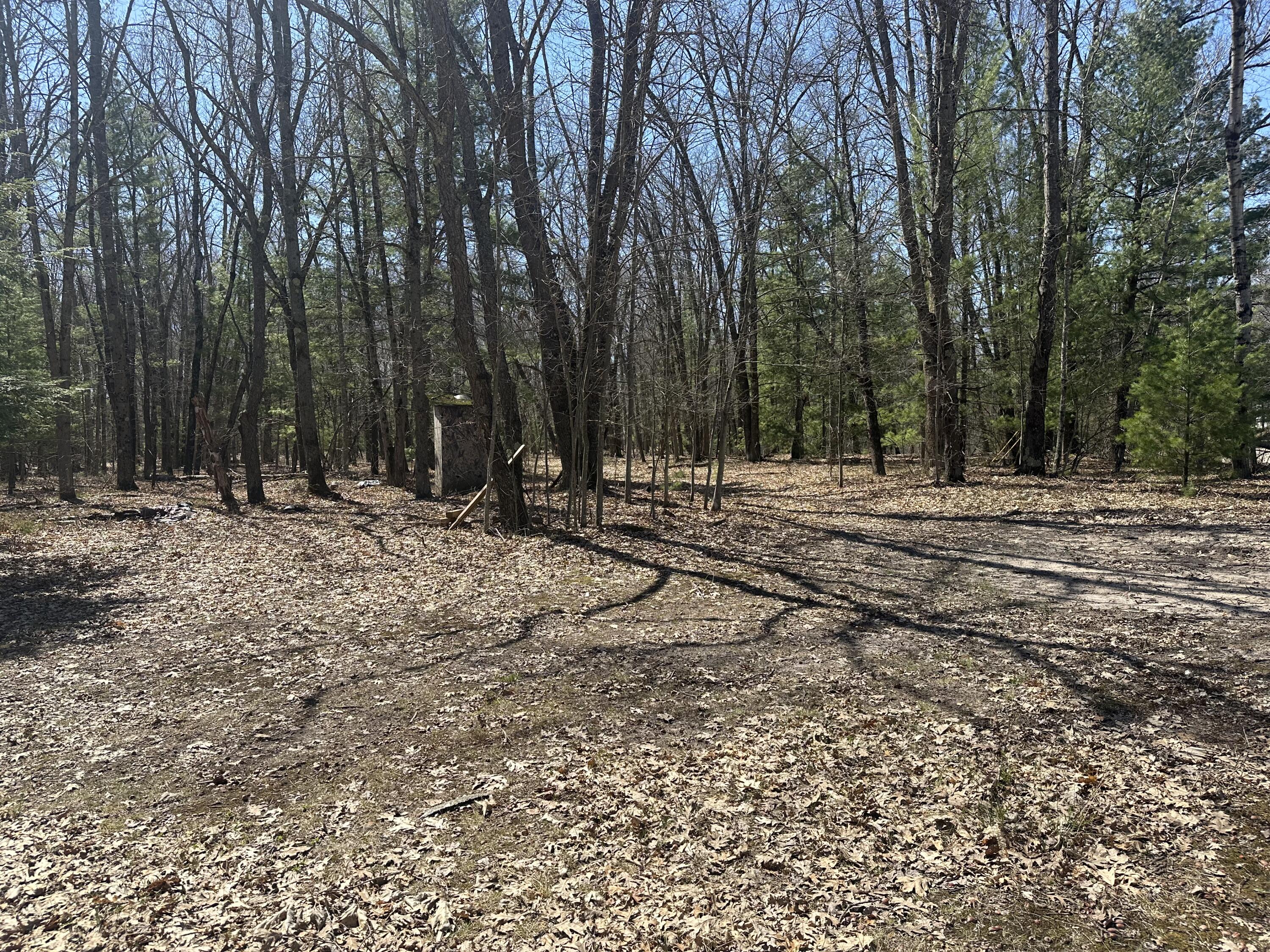 604 Beaver Road Bitely, MI 49309 - Photo 105 of 106 IMG_8640