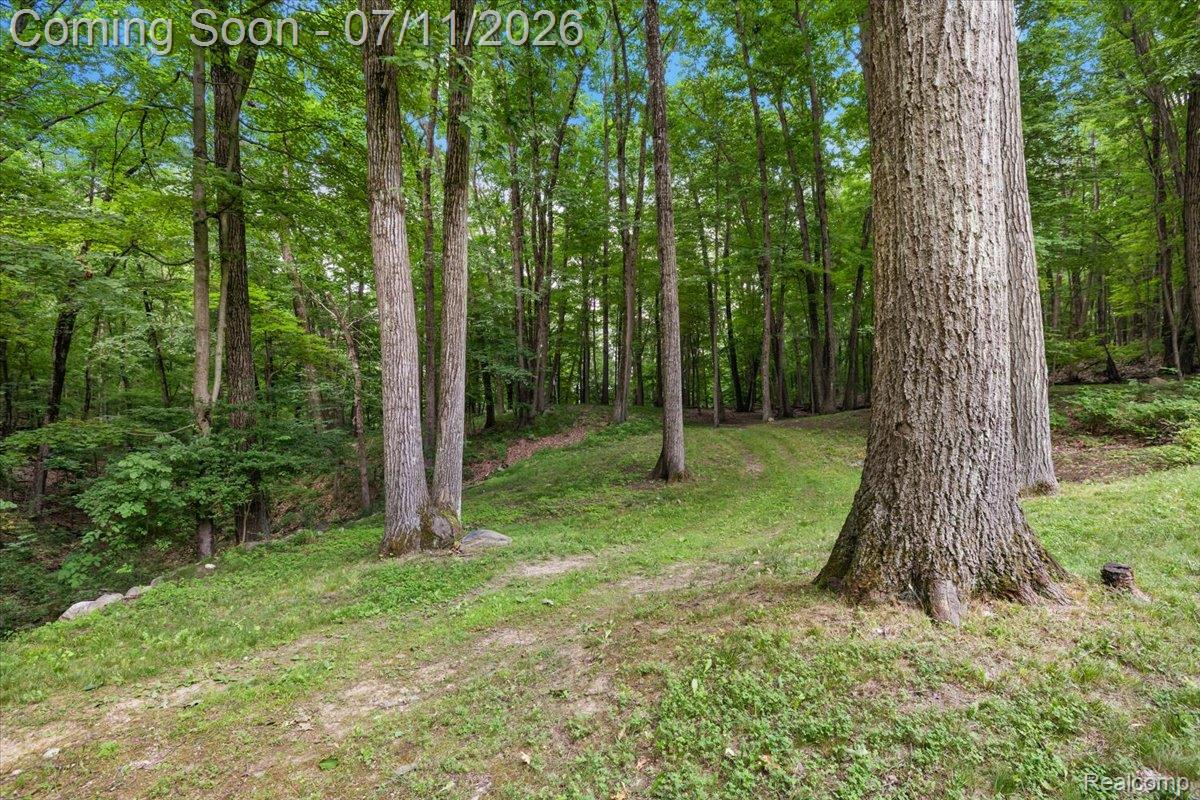 4219 Gardner Road Metamora, MI 48455 - Photo 82 of 87 036-4219 Gardner -36.jpg
