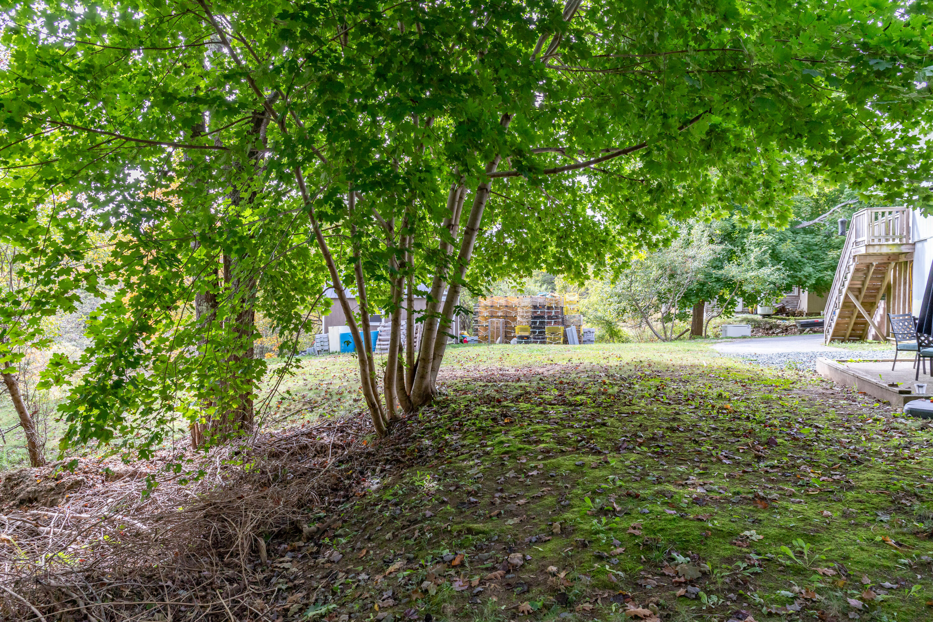 278 Sunset Road Deer Isle, ME 04627 - Photo 64 of 75 278 Sunset Road Exteriors-8