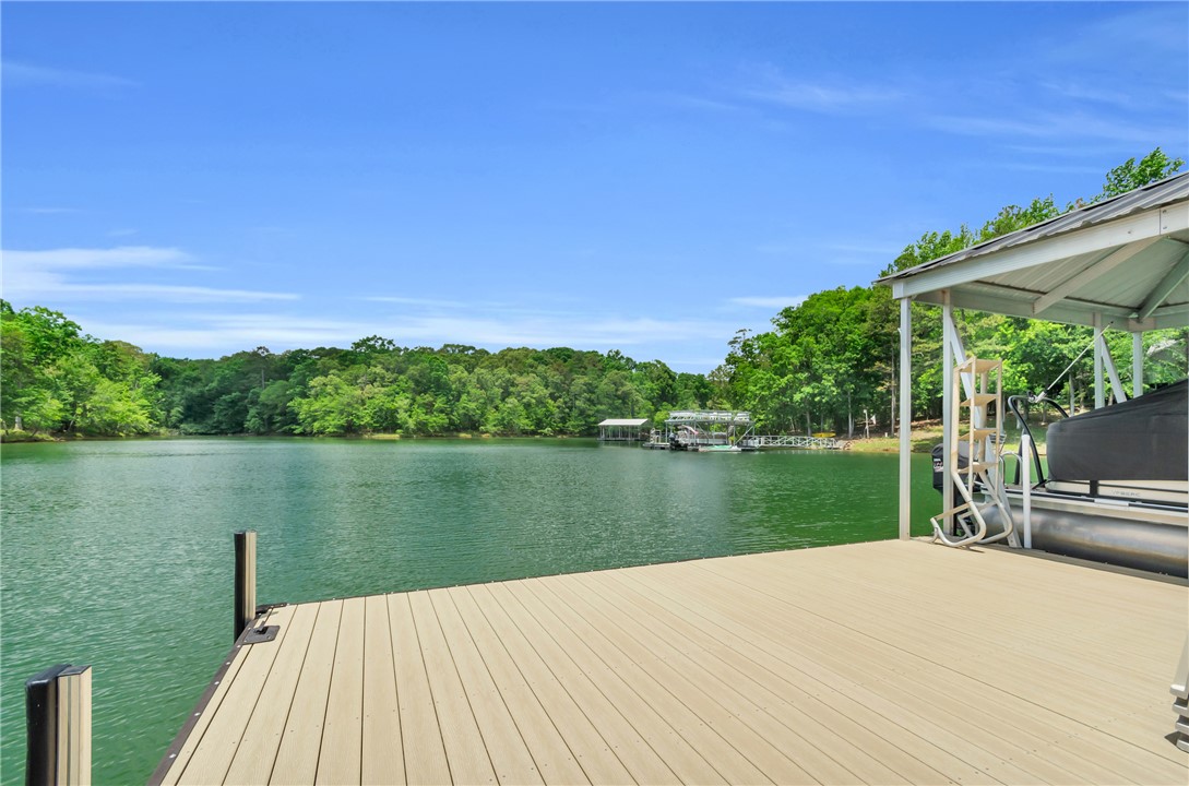 47 Rabbit Run Hartwell, GA 30643 - Photo 6 of 46