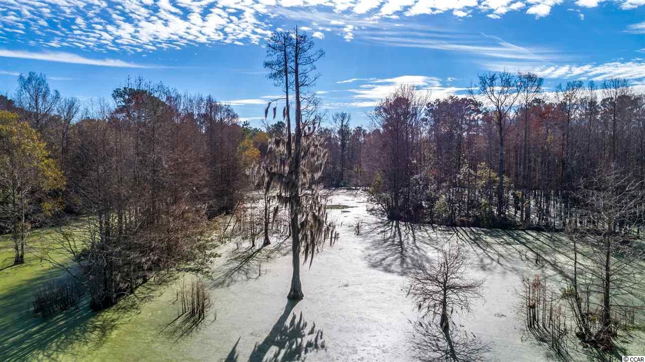 Tbd East Bear Grass Road Longs, SC 29568 - Photo 1 of 7 Gallery Image 1