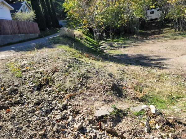 a view of a yard with plants and wooden fence
