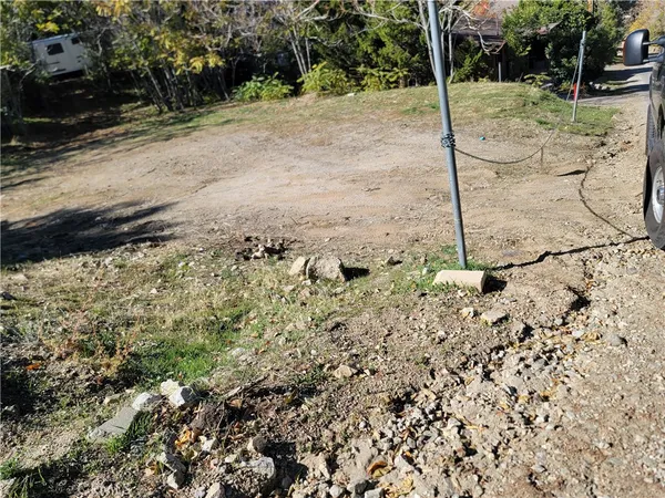 a view of a yard with plants and trees