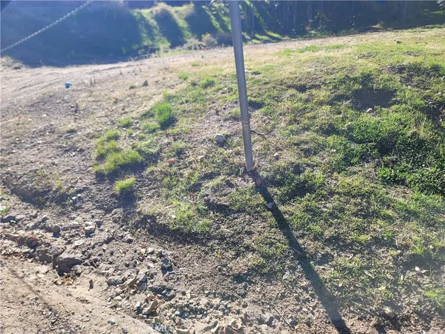 a view of a yard with a tree