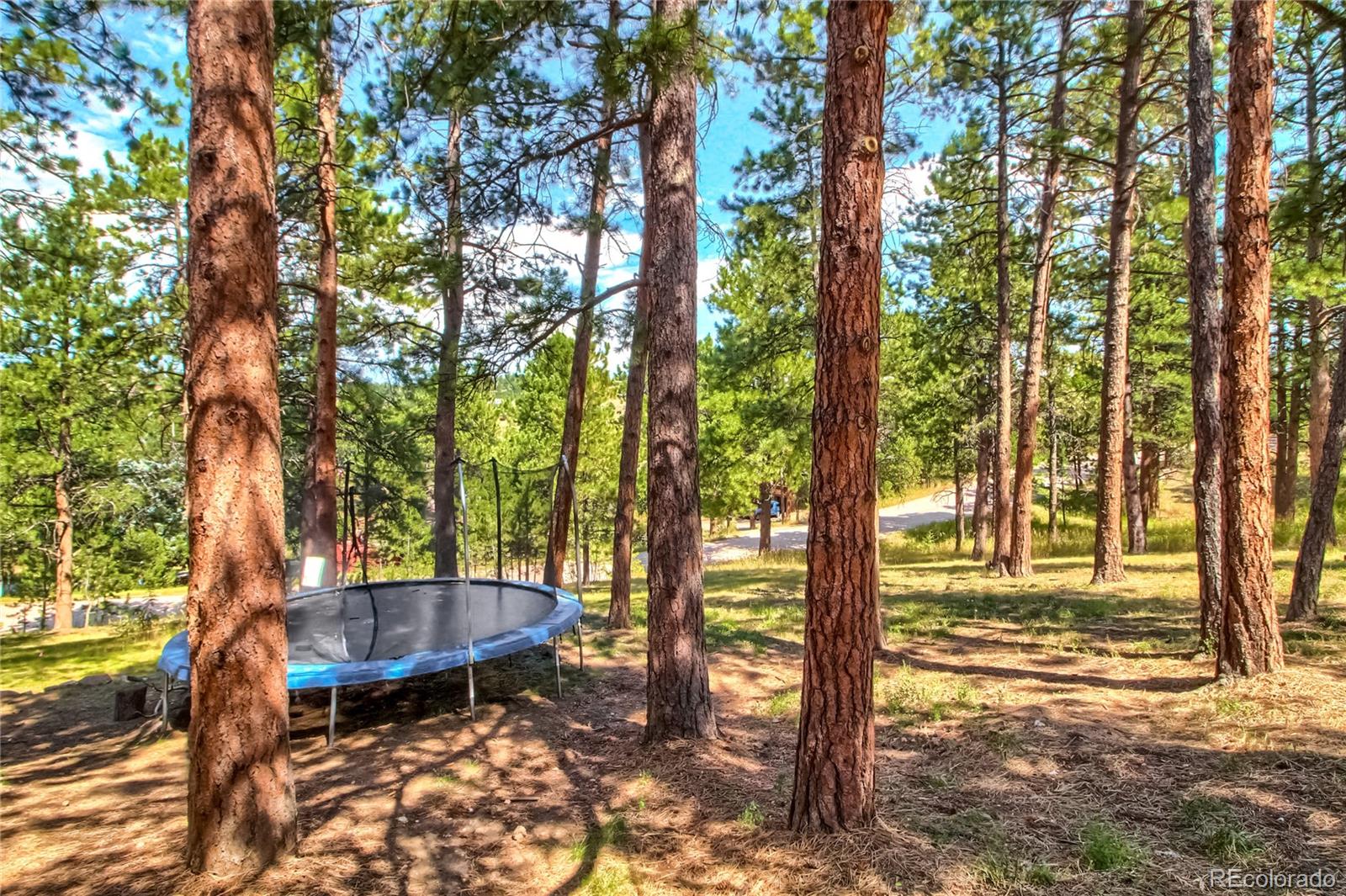 3499 South Saddle Road Evergreen, CO 80439 - Photo 33 of 37 Gallery Image 33