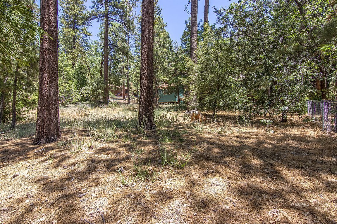 25215 Glen Road Idyllwild, CA 92549 - Photo 54 of 67 Untitled