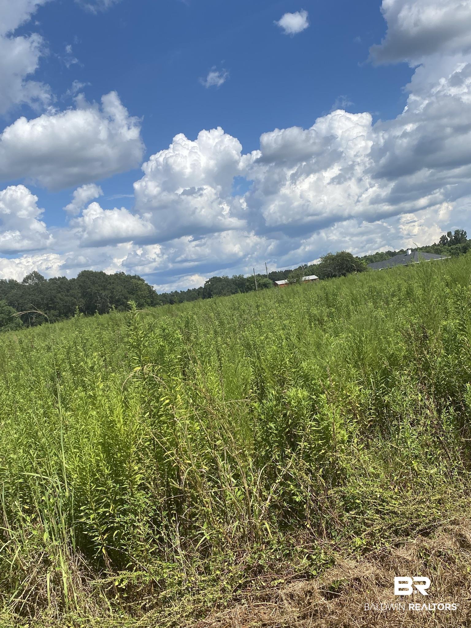 1 Zelma Wright Lane Atmore, AL 36502 - Photo 8 of 13