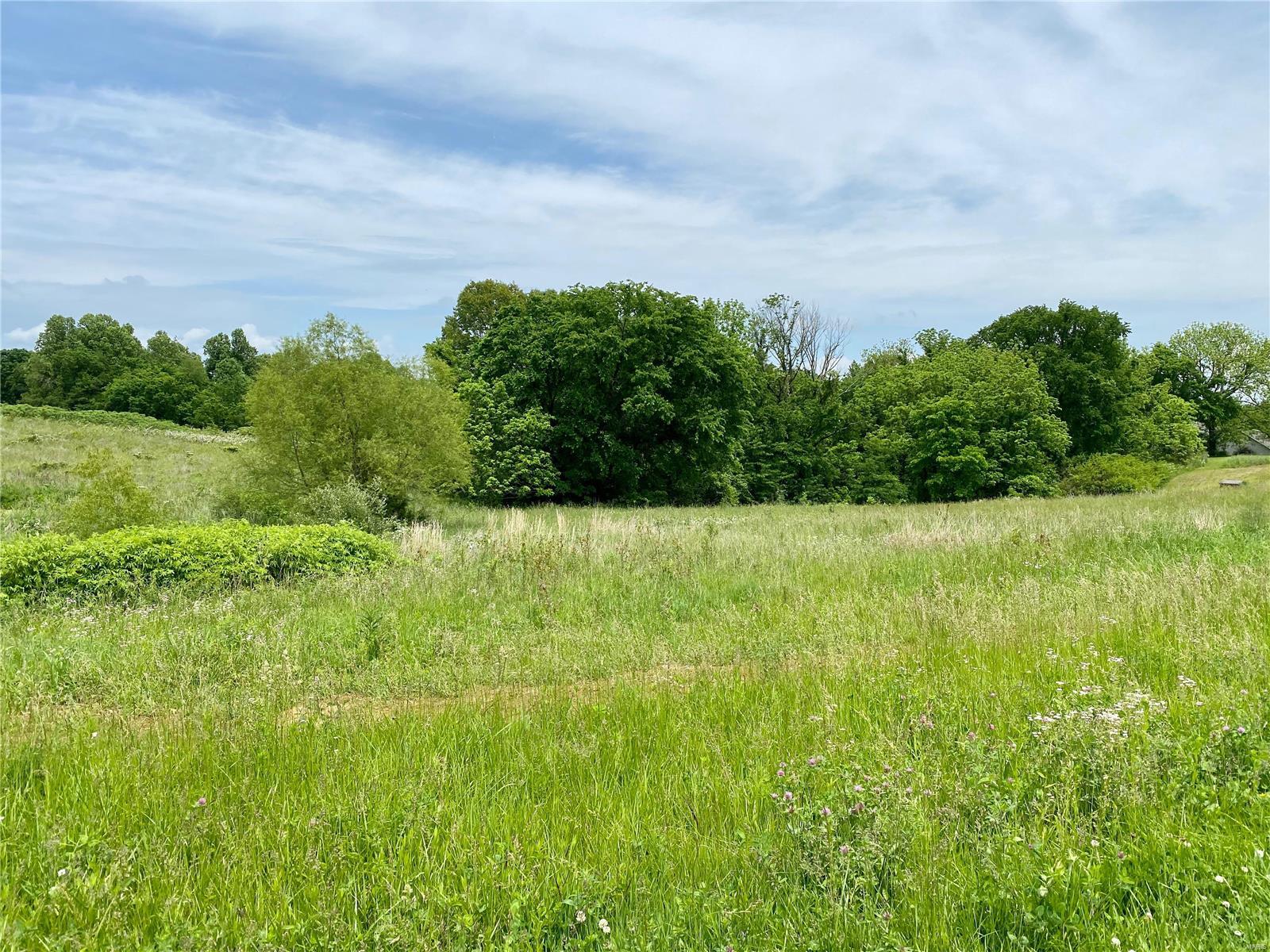 605 Wrights Crossing Road Cobden, IL 62920 - Photo 20 of 32 Gallery Image 20