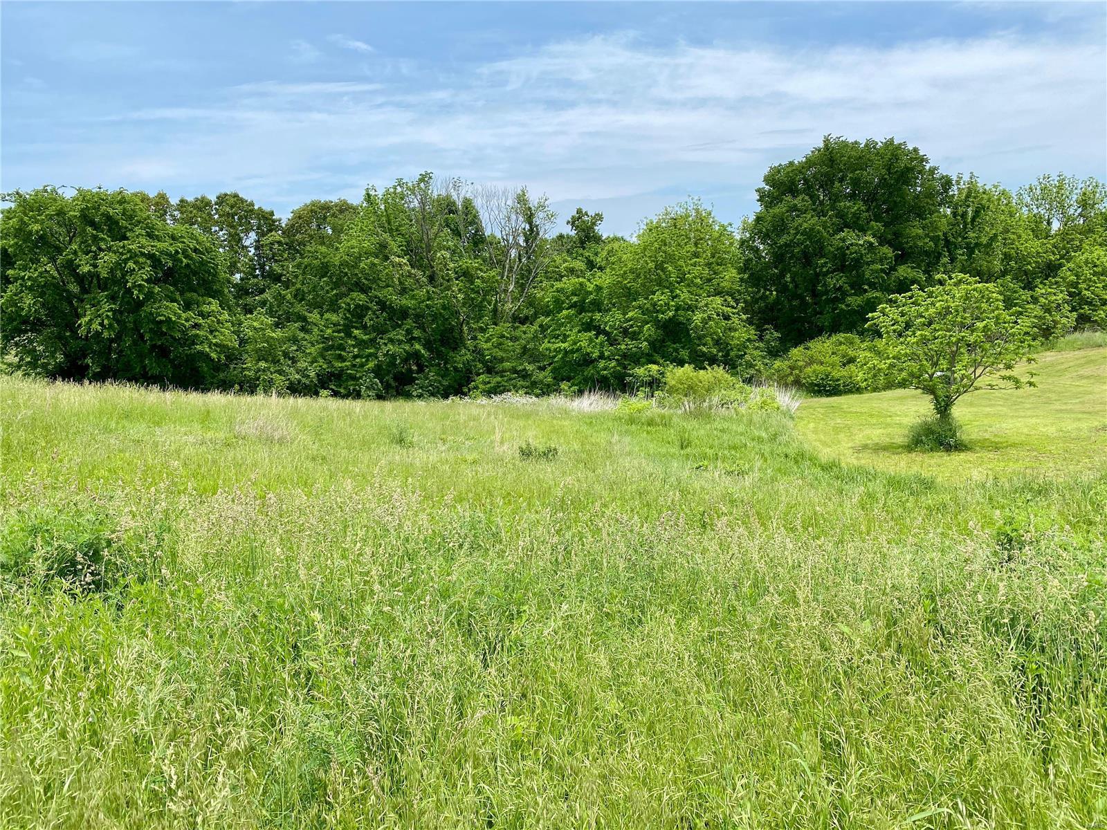 605 Wrights Crossing Road Cobden, IL 62920 - Photo 22 of 32 Gallery Image 22