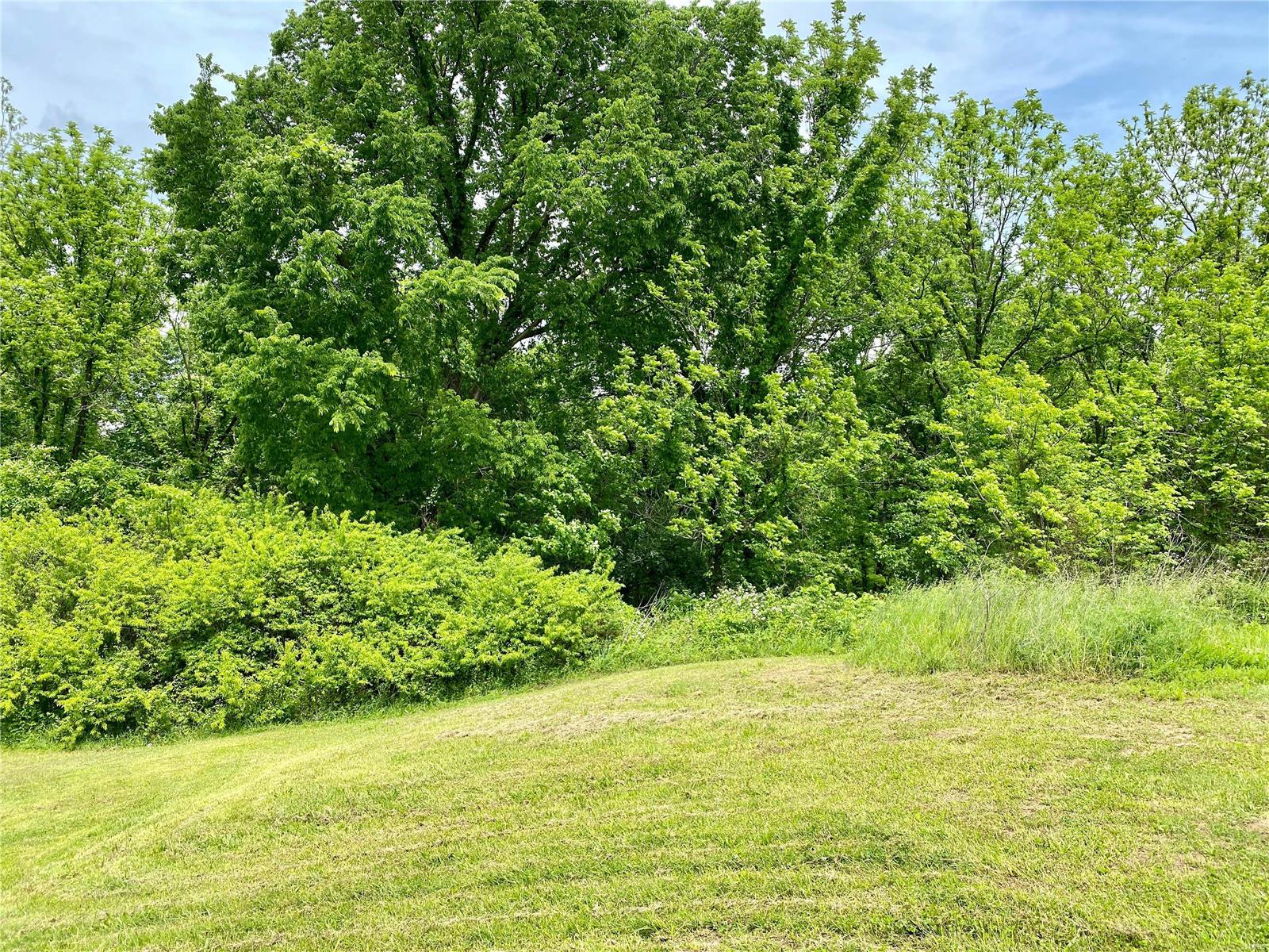 605 Wrights Crossing Road Cobden, IL 62920 - Photo 31 of 32 Gallery Image 31