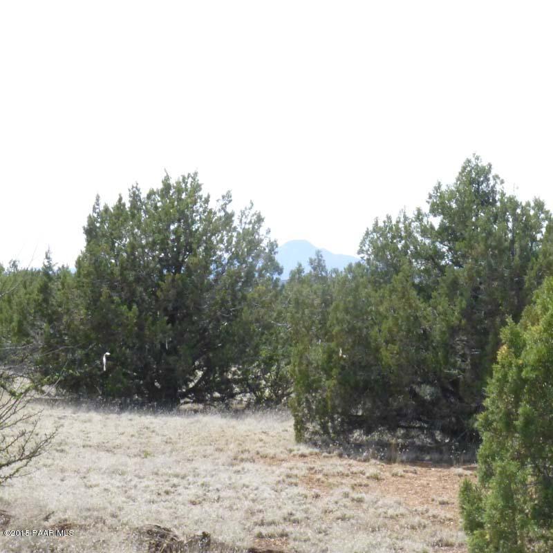 4980 North Forest Line Road Williams, AZ 86046 - Photo 1 of 9 main