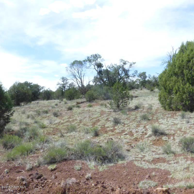 4980 North Forest Line Road Williams, AZ 86046 - Photo 5 of 9 P1020742021