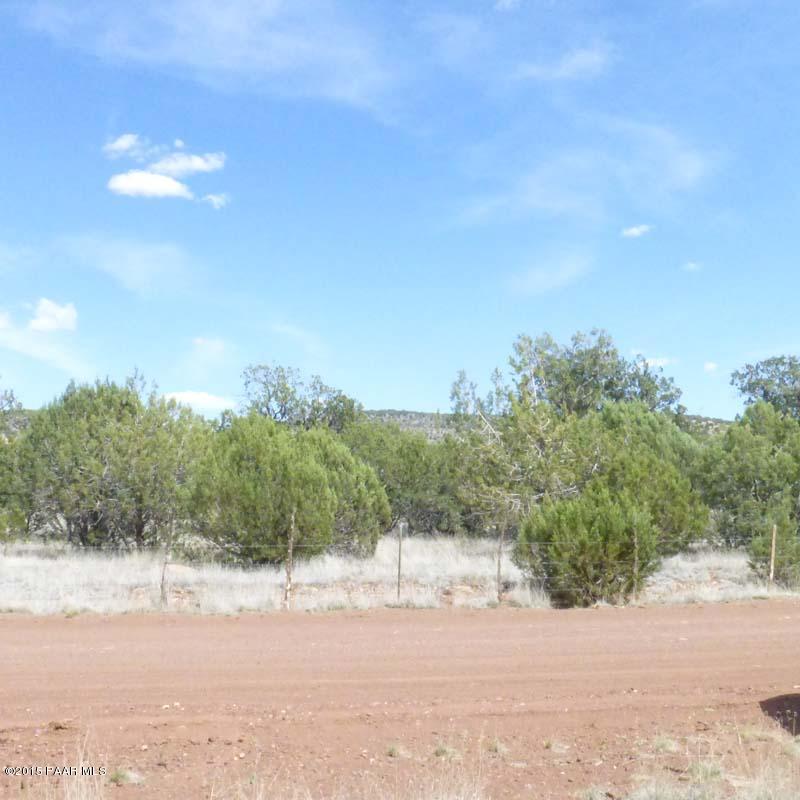 4980 North Forest Line Road Williams, AZ 86046 - Photo 6 of 9 P1020733012