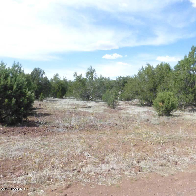 4980 North Forest Line Road Williams, AZ 86046 - Photo 8 of 9 P1020741020