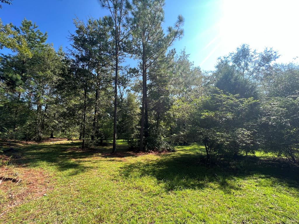 120 Davis Cherry Road Pansey, AL 36370 - Photo 1 of 16 Main View