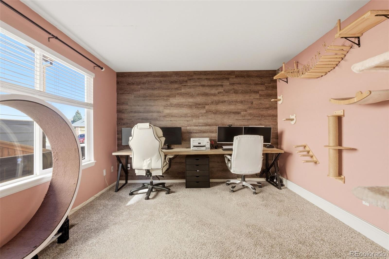 4844 Apollo Bay Drive Highlands Ranch, CO 80130 - Photo 24 of 50