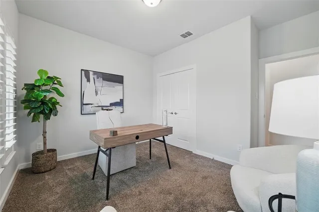 a room with furniture potted plant and a lamp