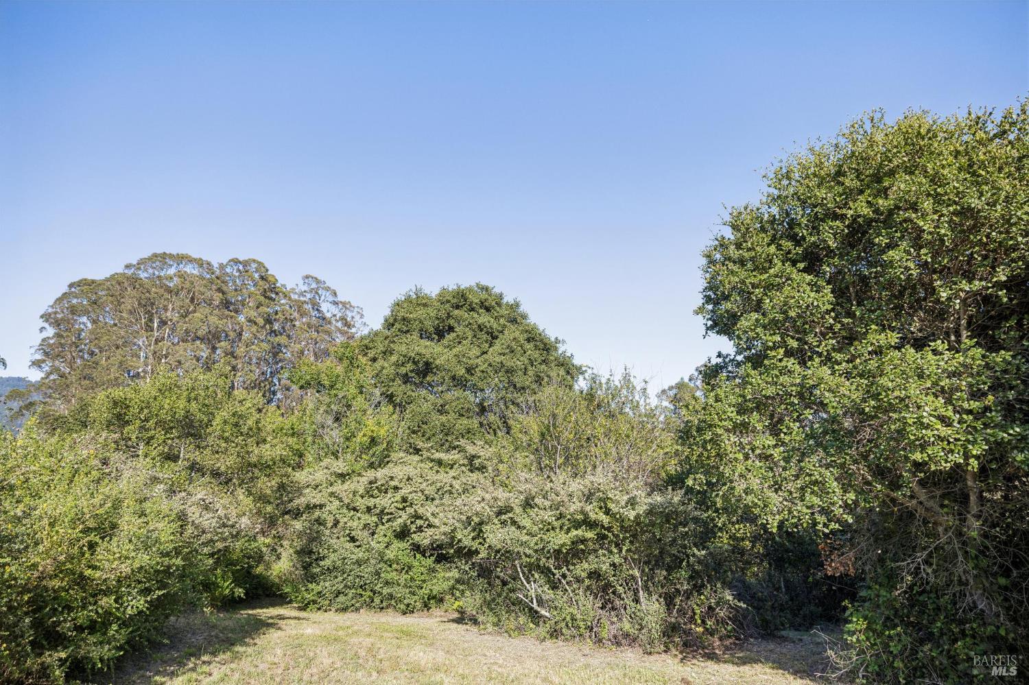 5 Lauff Ranch Road Bolinas, CA 94924 - Photo 76 of 92