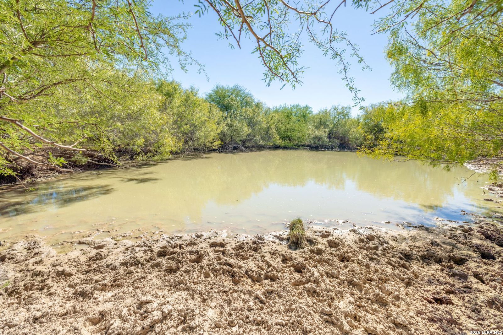 Sh 359 359th Laredo, TX 78043 - Photo 8 of 8