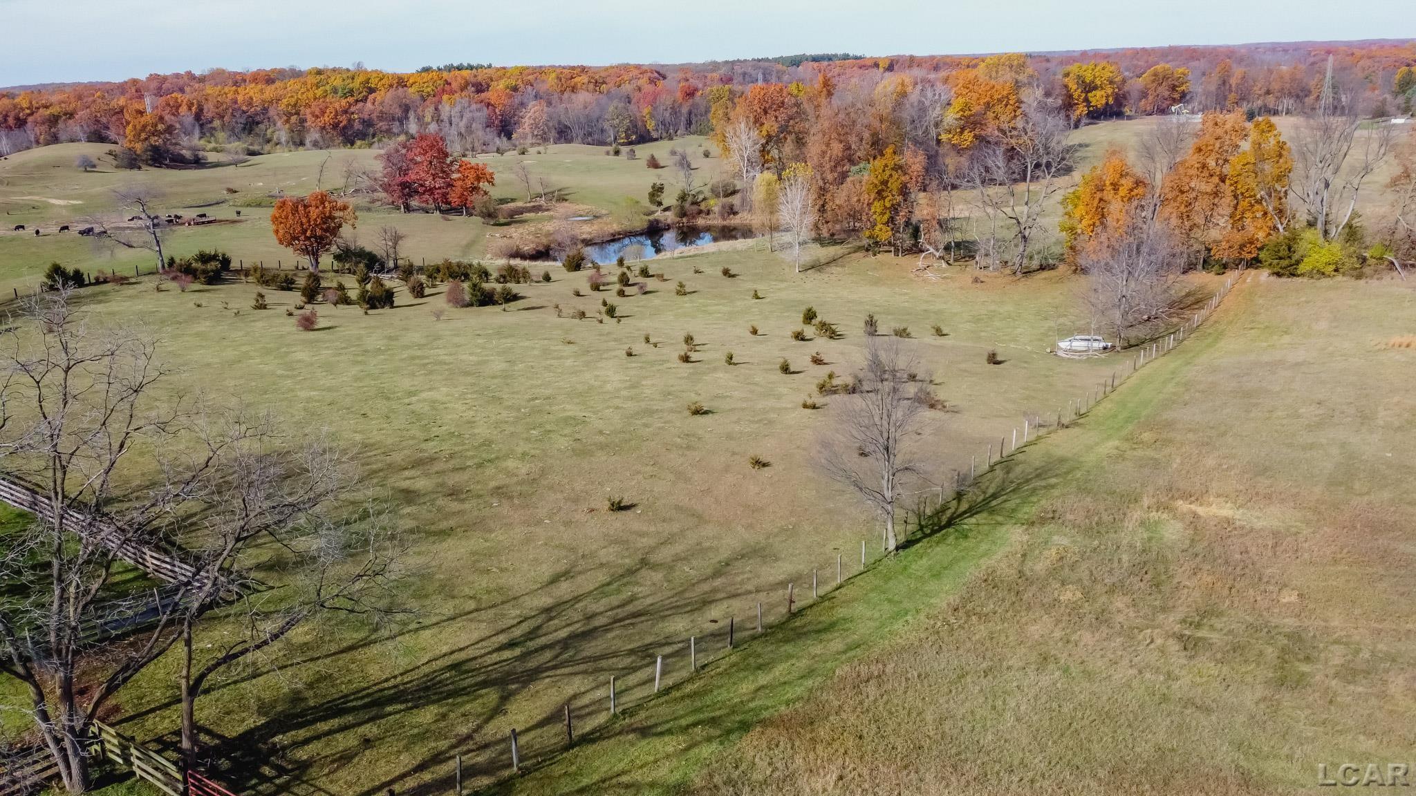 12060 Waterman Road Brooklyn, MI 49230 - Photo 4 of 93