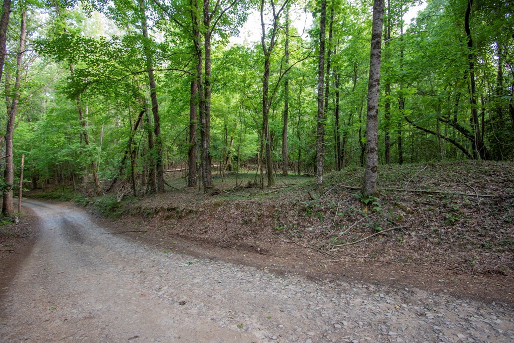 0 Maple Ridge Lane Murphy, NC 28906 - Photo 16 of 19