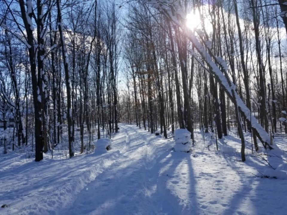 3467 Bauer Road Jenison, MI 49428 - Photo 8 of 12 Beautiful wooded lot