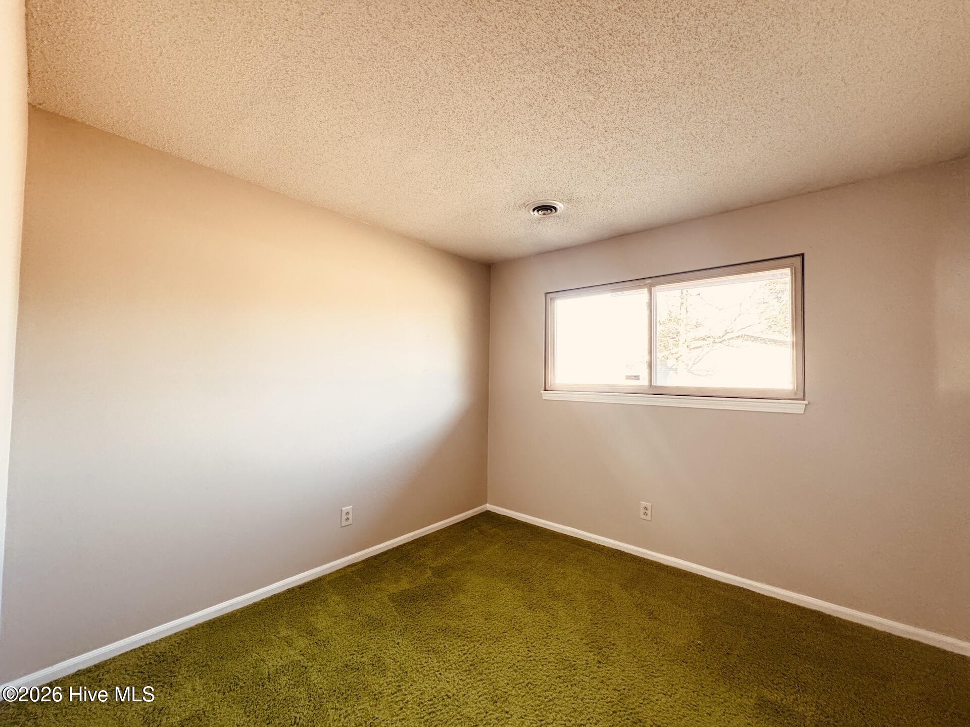 204 Walnut Creek Road Jacksonville, NC 28546 - Photo 16 of 23 16 grn rm view1