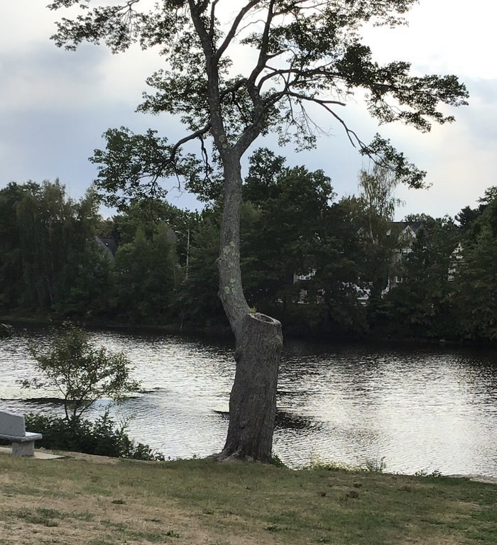 222 South Main Street Hopedale, MA 01747 - Photo 15 of 16