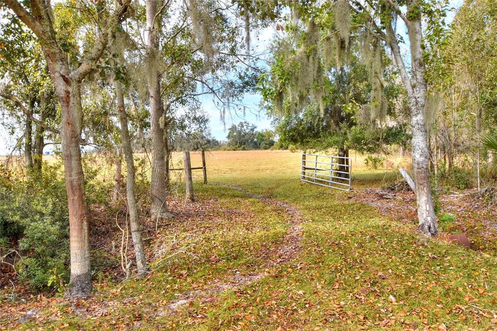Colding Loop Wimauma, FL 33598 - Photo 2 of 3