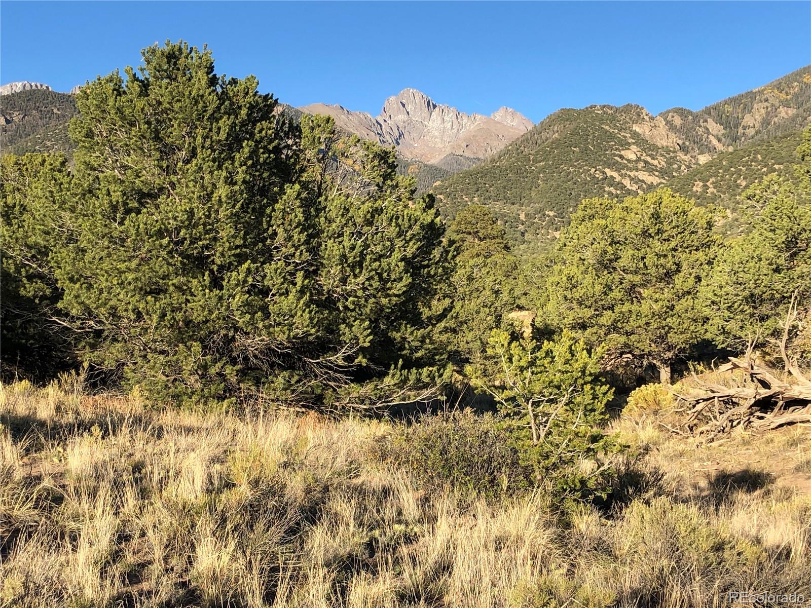 4480 Ridgecrest Way Crestone, CO 81131 - Photo 11 of 24 a view of a bunch of a tree