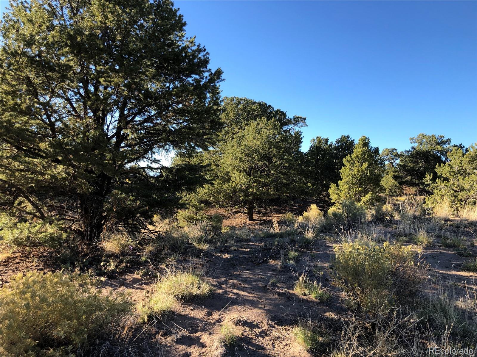 4480 Ridgecrest Way Crestone, CO 81131 - Photo 16 of 24 a view of a tree with a tree