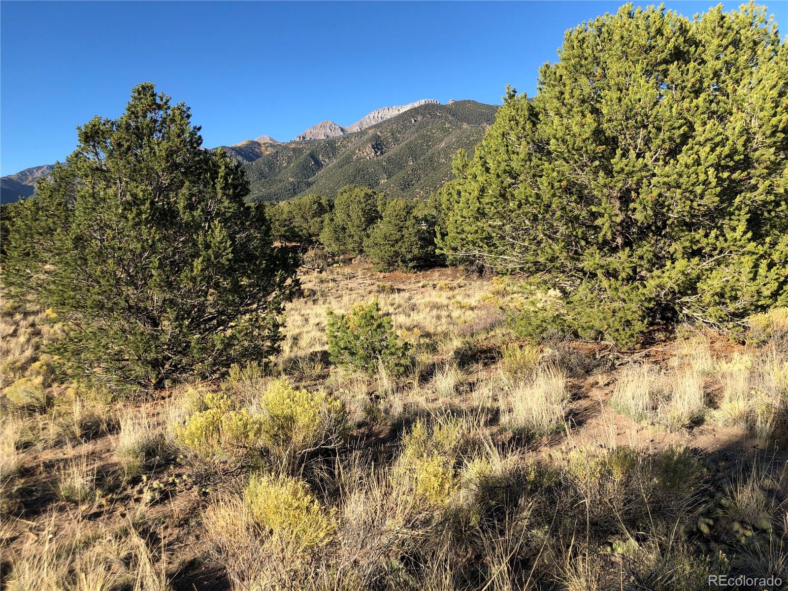 4480 Ridgecrest Way Crestone, CO 81131 - Photo 18 of 24 a view of a field with a tree