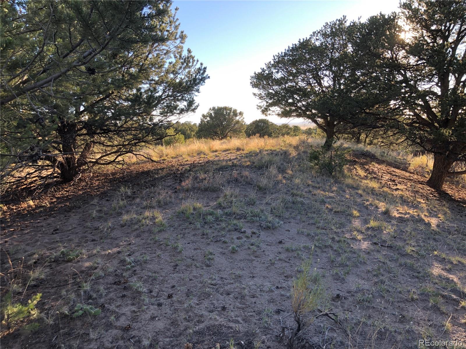 4480 Ridgecrest Way Crestone, CO 81131 - Photo 20 of 24 a view of mountain view with lots of trees
