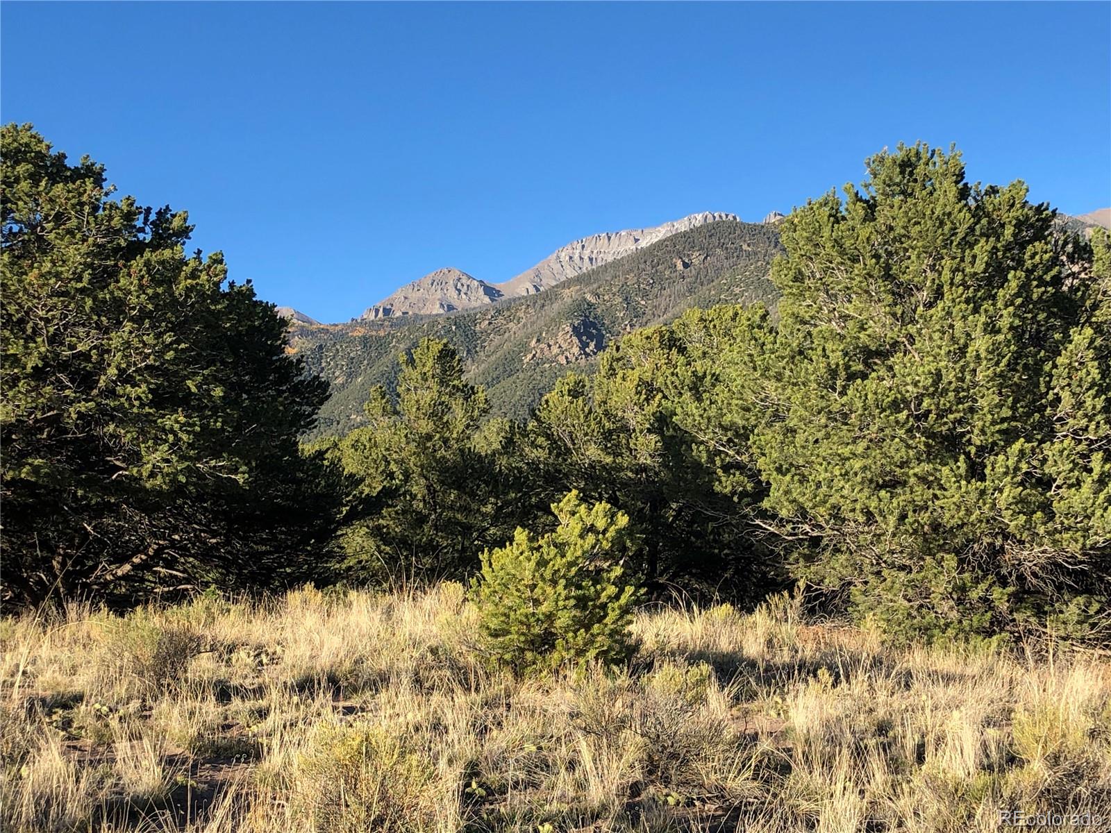 4480 Ridgecrest Way Crestone, CO 81131 - Photo 21 of 24 a view of a large tree with a yard in front of it