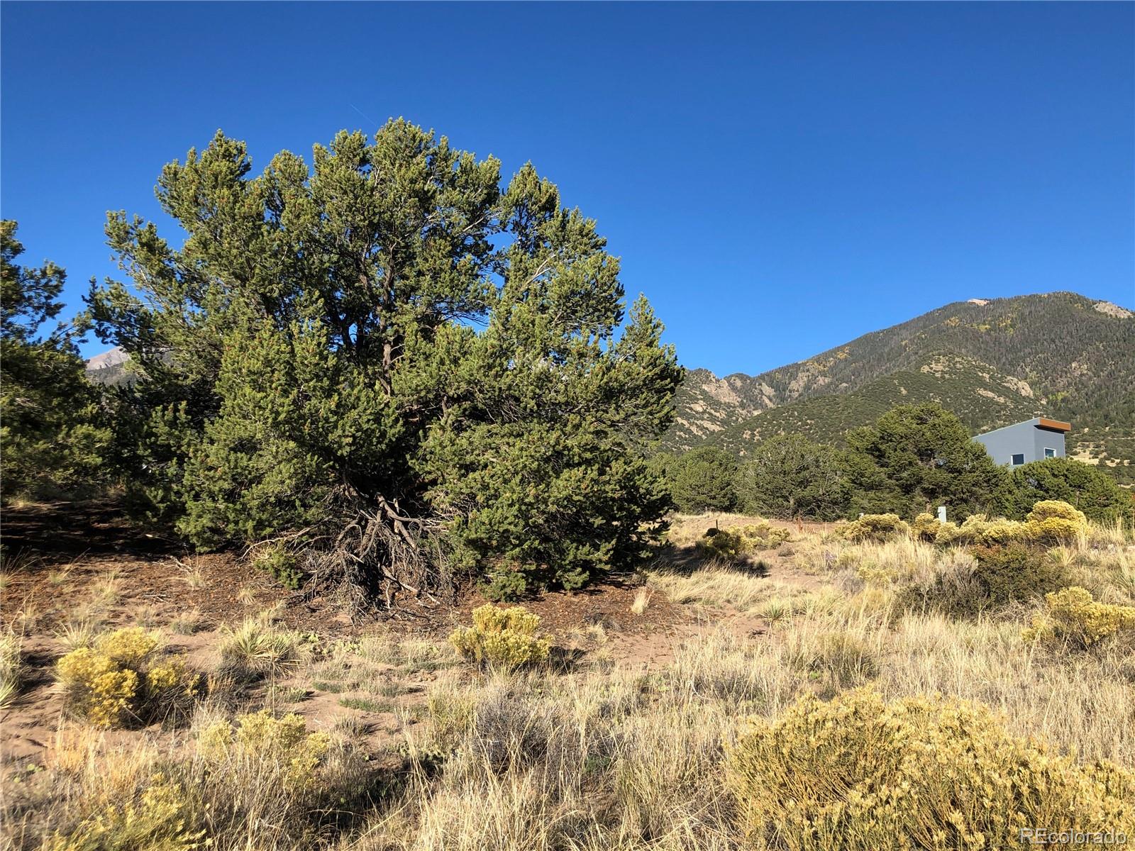 4480 Ridgecrest Way Crestone, CO 81131 - Photo 4 of 24 a view of a field with a tree