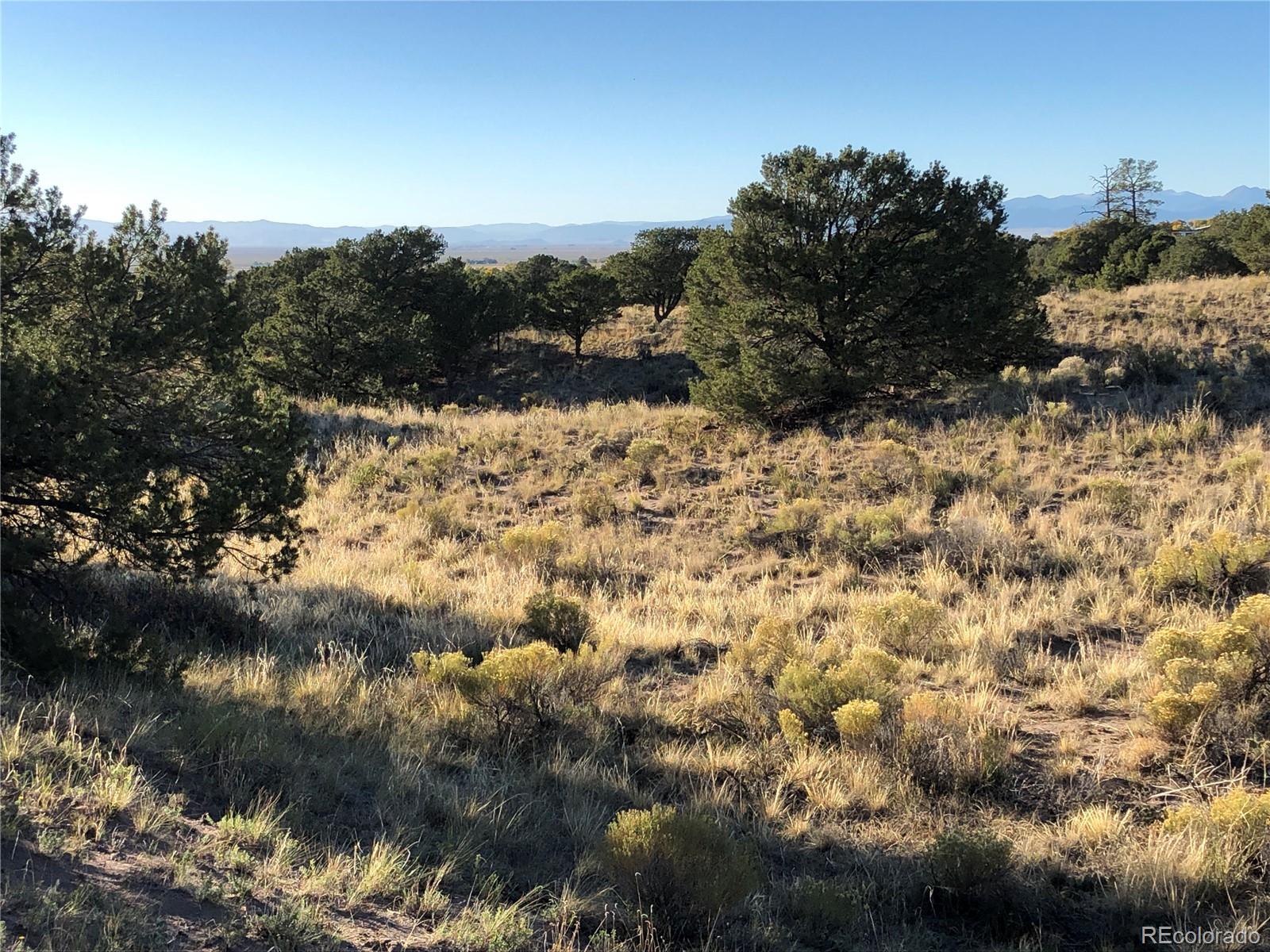 4480 Ridgecrest Way Crestone, CO 81131 - Photo 5 of 24 a view of a yard with a tree