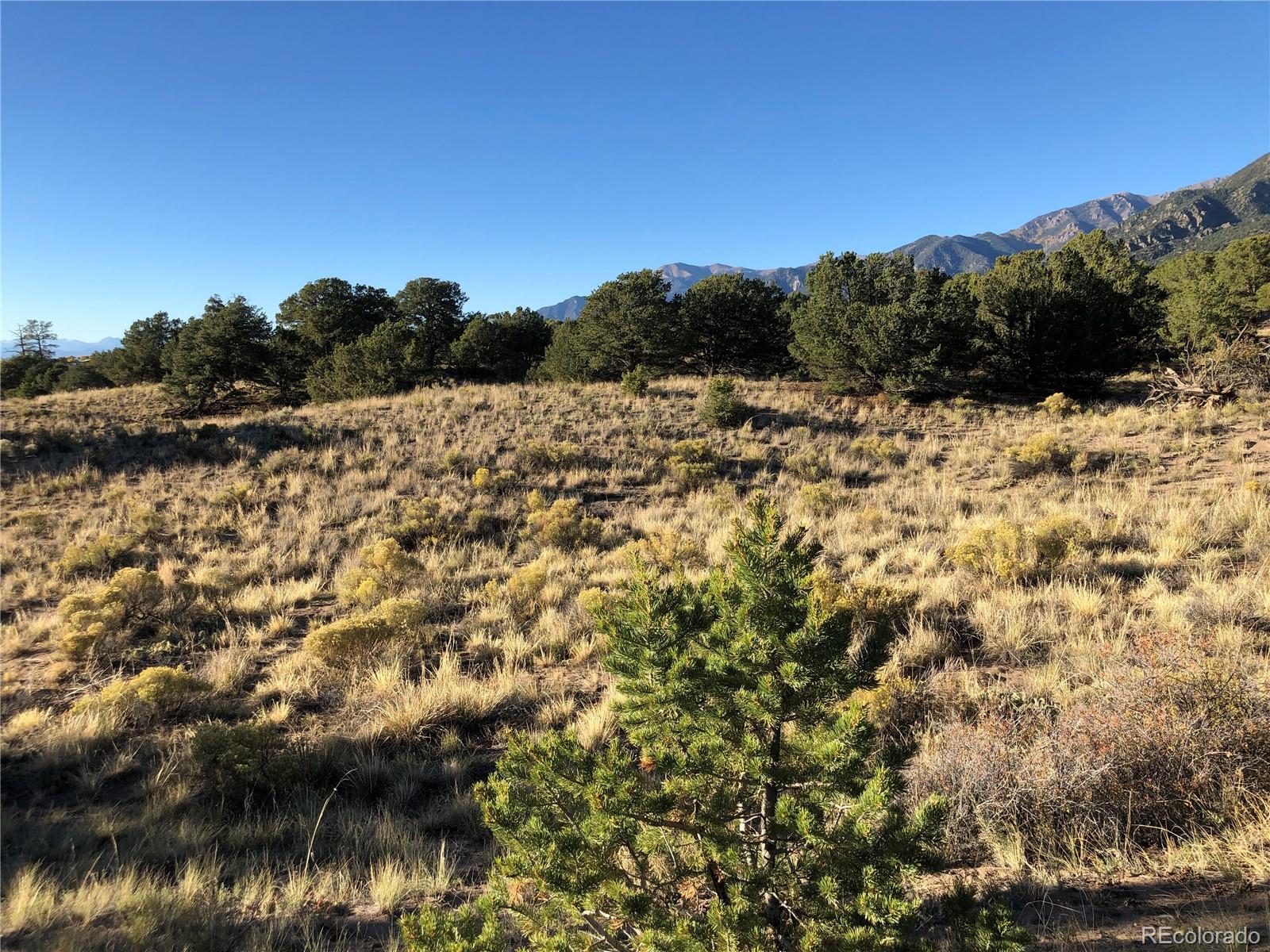 4480 Ridgecrest Way Crestone, CO 81131 - Photo 6 of 24 a view of outdoor space and trees